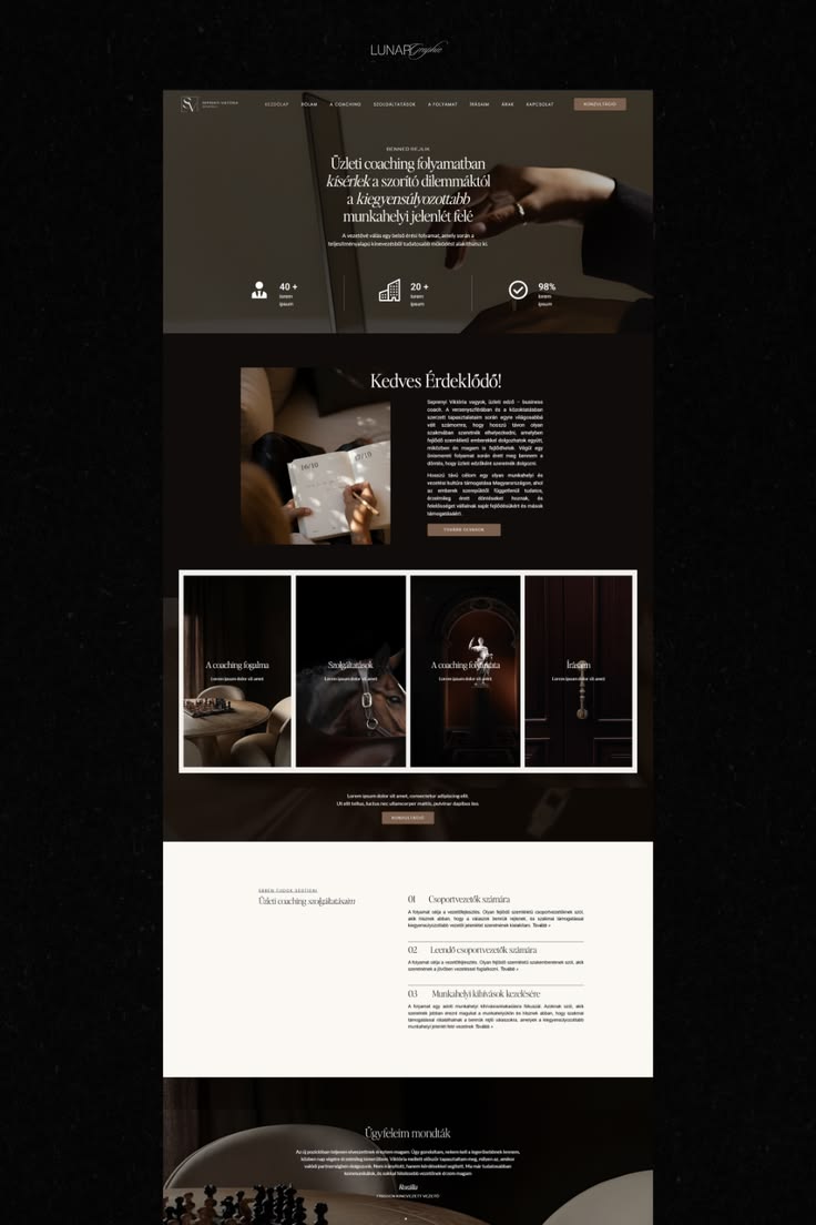 Website Sample 3